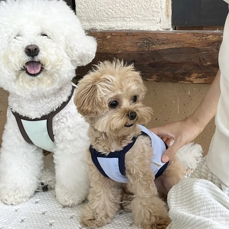 Summer Letter Printed Puppy Sling Breathable Teddy Vest Small Dog Bow T-shirt Casual Dog Clothes Pet Supplies