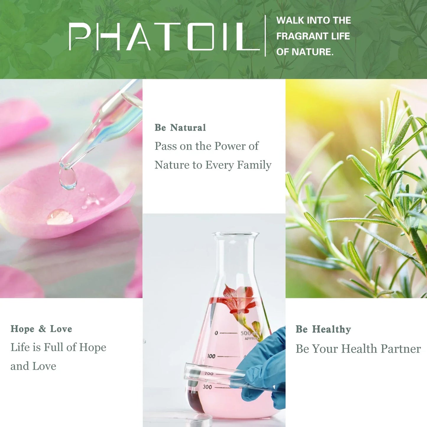 PHATOIL 10ML with Dropper Lavender Eucalyptus Vanilla Pure Natural Essential Oils Rose Jasmine Ylang Ylang Diffuser Aroma Oil