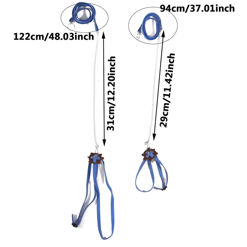 Turtle Traction Belt Control Rope Training Belt Outdoor Walking Leash  Harness Reptile Leash Pet Supplies PU Leather