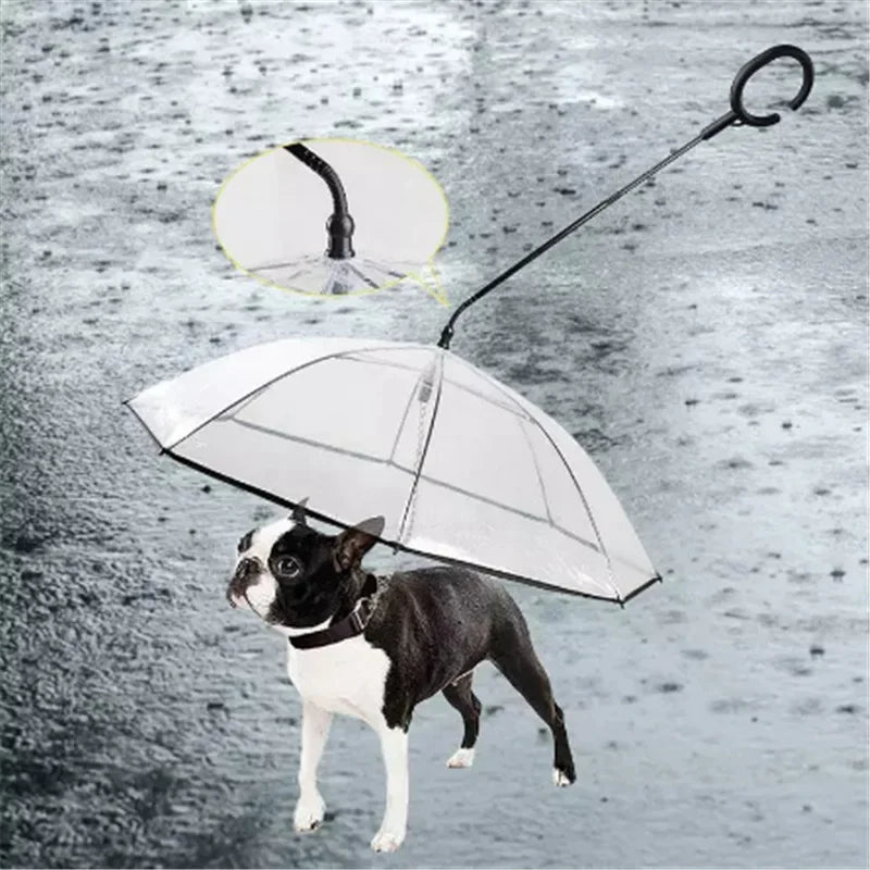 New Transparent Pet Umbrella Well Made Detachable Adjustable Rainy Day Outdoor Dog Walking Leash for Small Dogs Pet Supplies