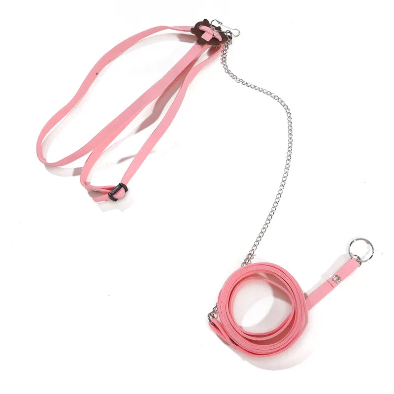 Turtle Traction Belt Control Rope Training Belt Outdoor Walking Leash  Harness Reptile Leash Pet Supplies PU Leather