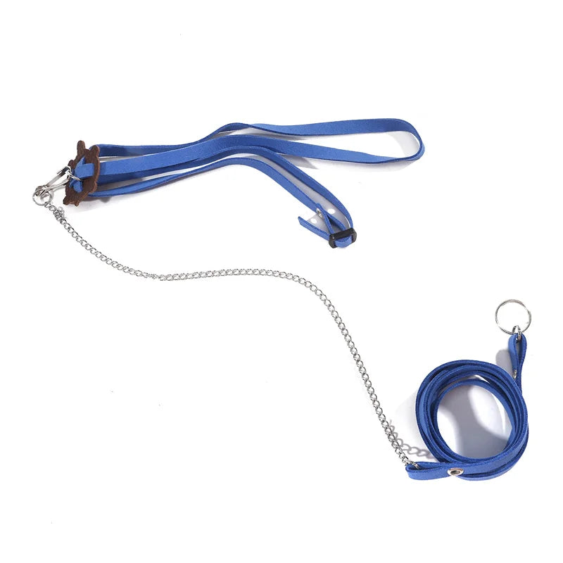 Turtle Traction Belt Control Rope Training Belt Outdoor Walking Leash  Harness Reptile Leash Pet Supplies PU Leather