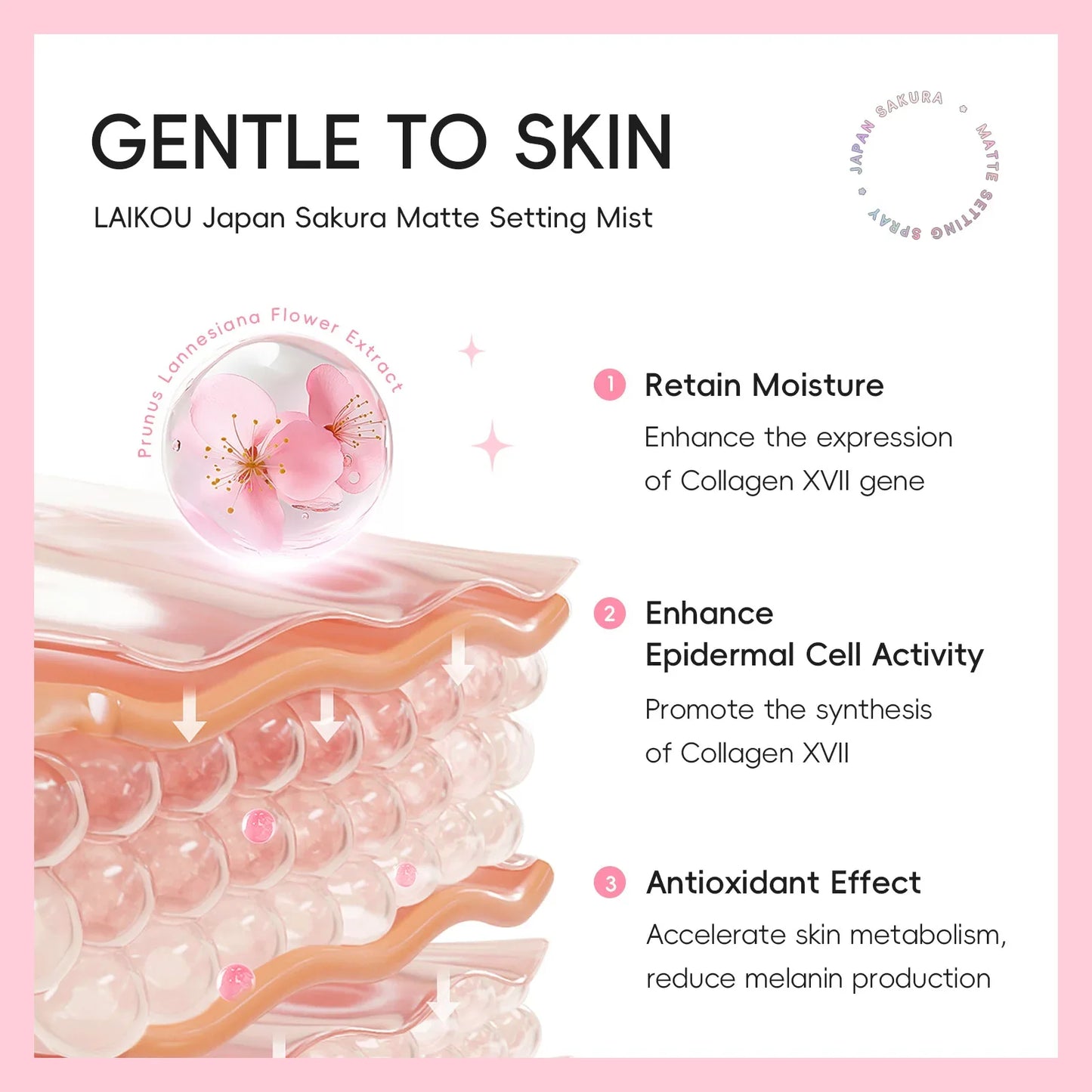 Sakura Matte Setting Spray 80ml Long Lasting Makeup Fixer Moisturizing Oil Control Non Sticky Face Mist For All Day Fresh Look