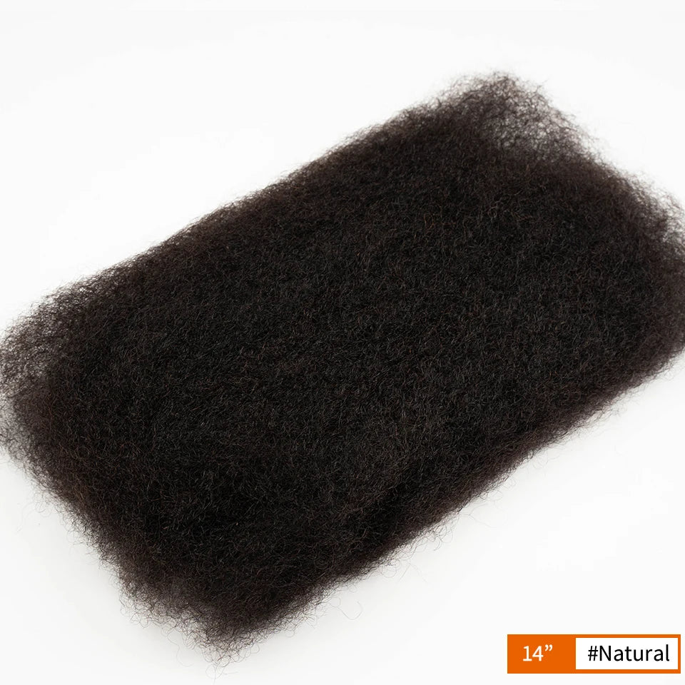 Rebecca Afro Kinky Bulk Human Hair for Braiding | Remy Virgin Brazilian Extensions (Multi-Color)