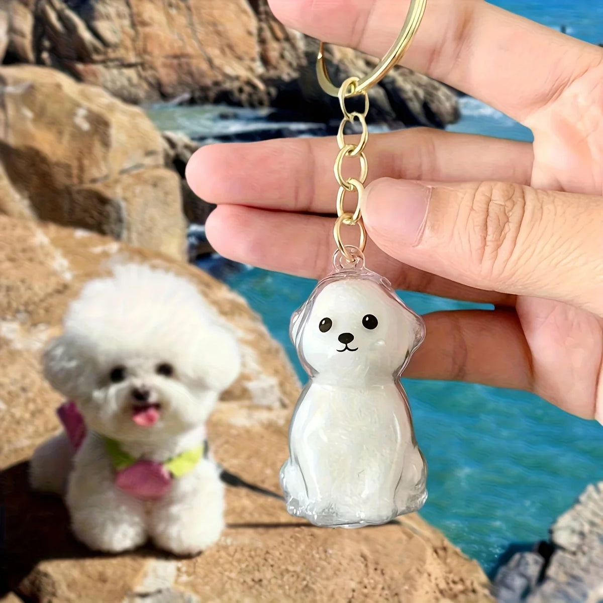 Transparent Dog Hair Storage Pendant Dog Hair Collector Keychain Pet Hair Memorial Bottle for Pet Lovers DIY Memorial Keychain