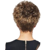 SPARKLE - Wig by Raquel Welch