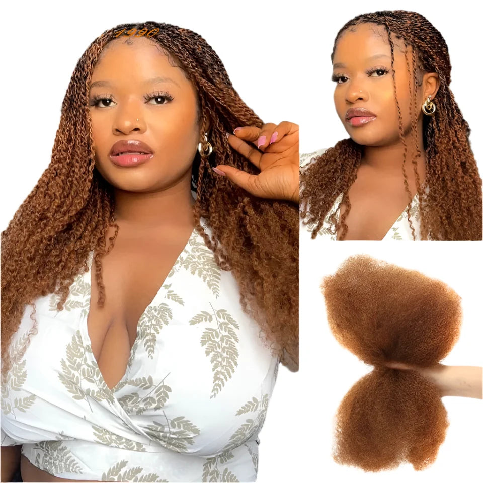 Rebecca Afro Kinky Bulk Human Hair for Braiding | Remy Virgin Brazilian Extensions (Multi-Color)