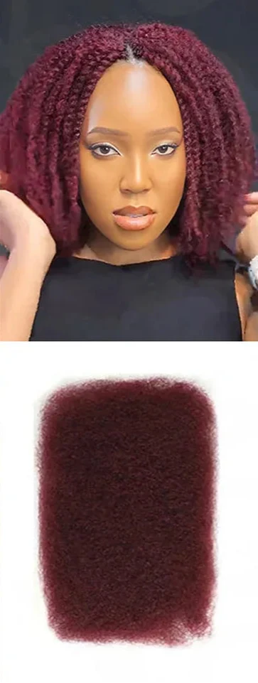 Rebecca Afro Kinky Bulk Human Hair for Braiding | Remy Virgin Brazilian Extensions (Multi-Color)