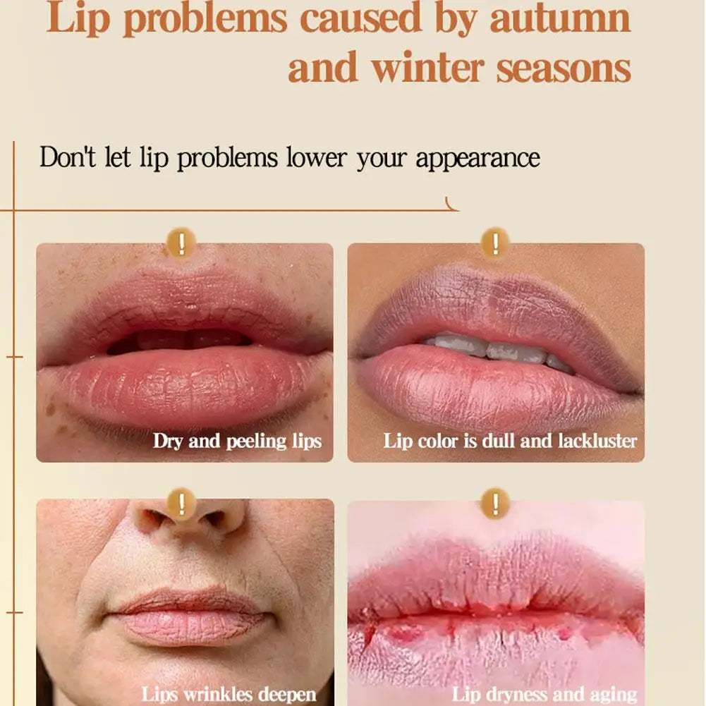 12pcs Moisturizing Lipstick Set, Hydrating Lip Care Suitable For All Skin Types, Fruit Lipstick Lip Balm Set