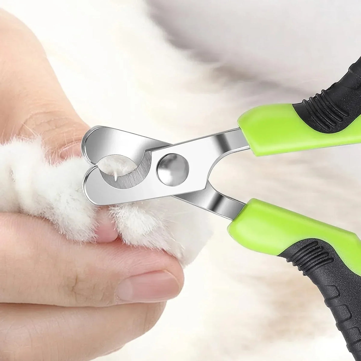 Hot Sale Cat Nail Toe Claw Clippers Trimmer Grooming Tools Animals Pet Supplies Stainless Steel Dog Nail Clipper Scissors