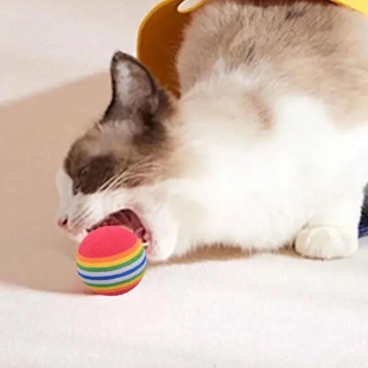 10-100x Colorful Cat Toy Ball EVA Bite-Resistant Elastic Rainbow Ball Kitten Puppy Chewing Training Interactive Toy Pet Supplies