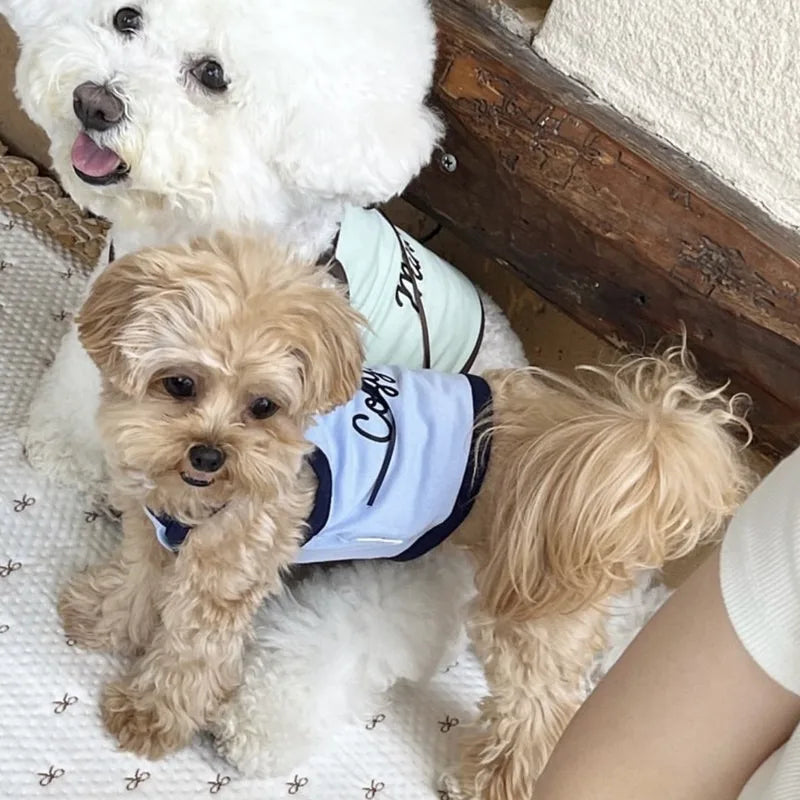 Summer Letter Printed Puppy Sling Breathable Teddy Vest Small Dog Bow T-shirt Casual Dog Clothes Pet Supplies
