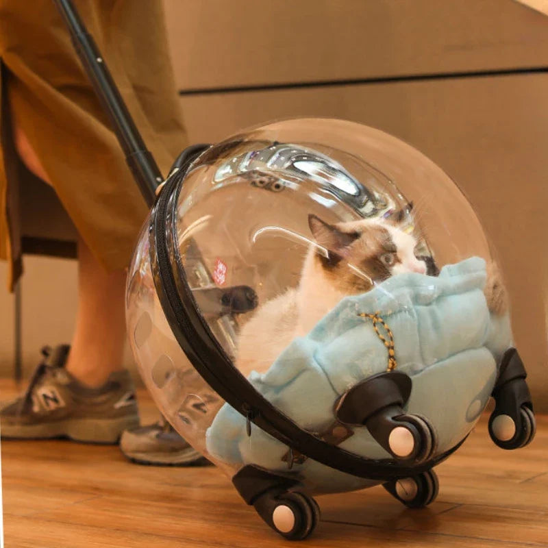 Portable Cat Bag for Going Out Large Capacity Transparent Breathable Pet Trolley Case Cat Travel Bag Pet Supplies Cat nest