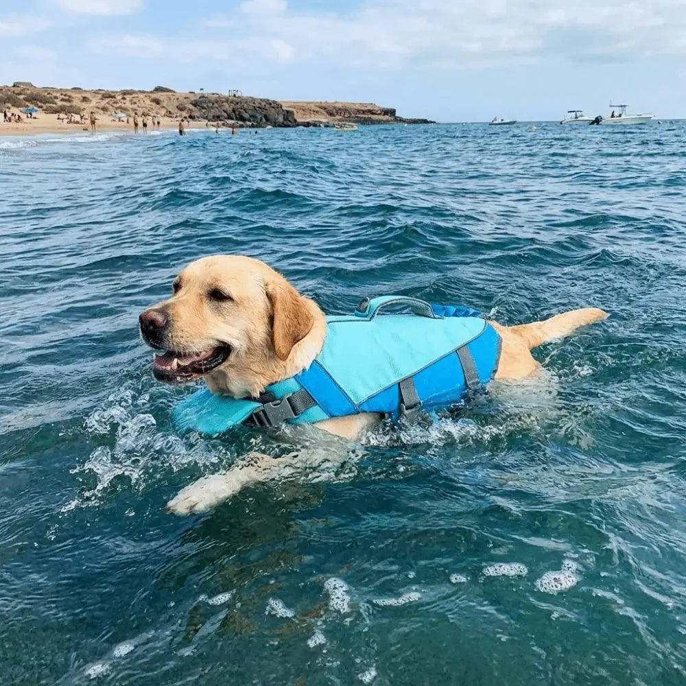 Pet Supplies Reflective Stripes Dog Life Jacket Adjustable Large Buoyancy Safety Vest Breathable Pet Life Vest Water Sports
