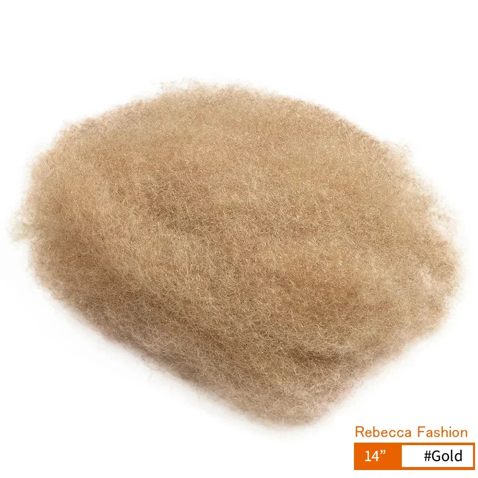 Rebecca Afro Kinky Bulk Human Hair for Braiding | Remy Virgin Brazilian Extensions (Multi-Color)