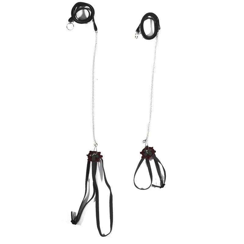 Turtle Traction Belt Control Rope Training Belt Outdoor Walking Leash  Harness Reptile Leash Pet Supplies PU Leather