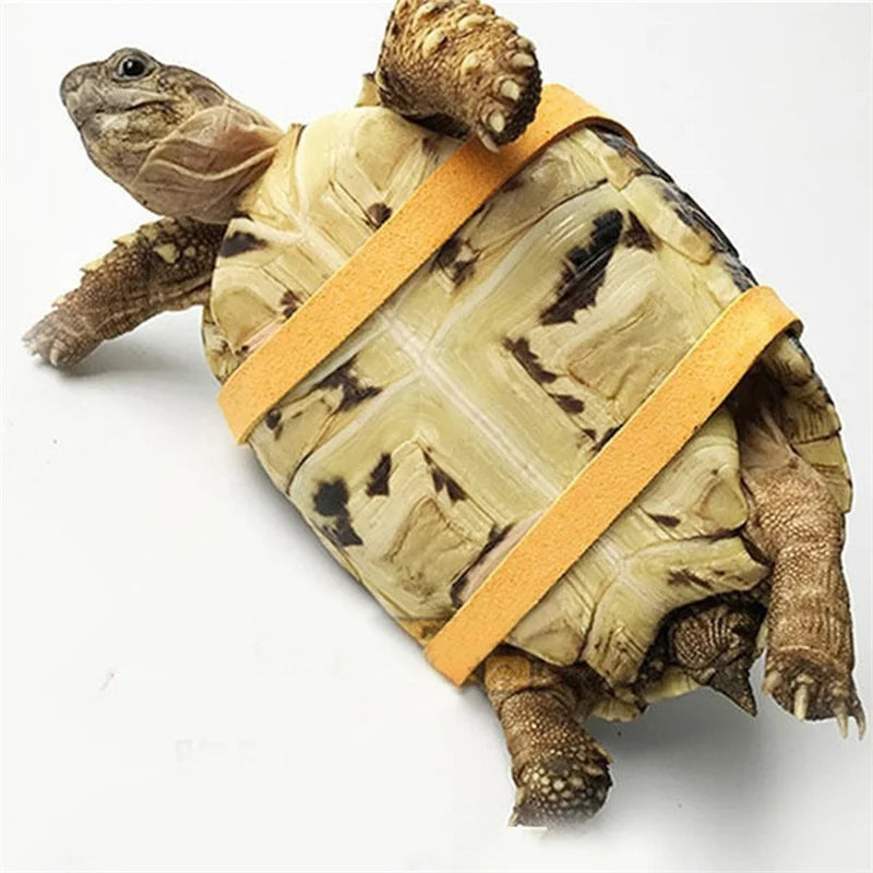 Turtle Traction Belt Control Rope Training Belt Outdoor Walking Leash  Harness Reptile Leash Pet Supplies PU Leather