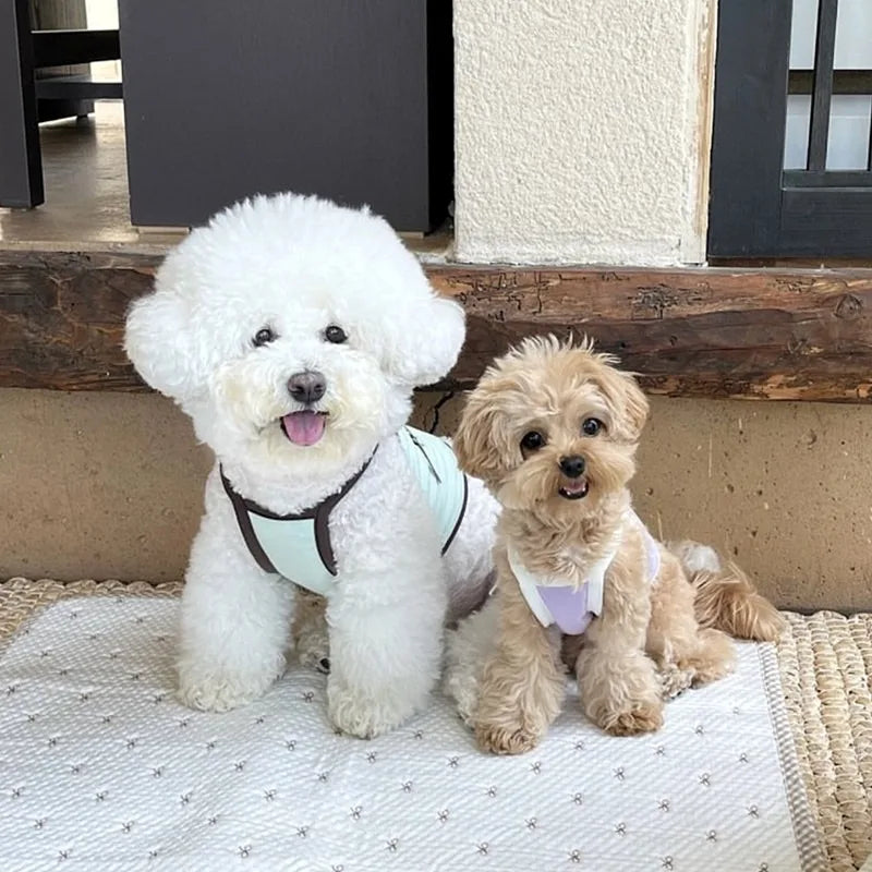 Summer Letter Printed Puppy Sling Breathable Teddy Vest Small Dog Bow T-shirt Casual Dog Clothes Pet Supplies