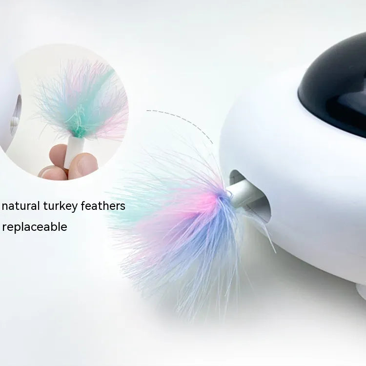 cat toy