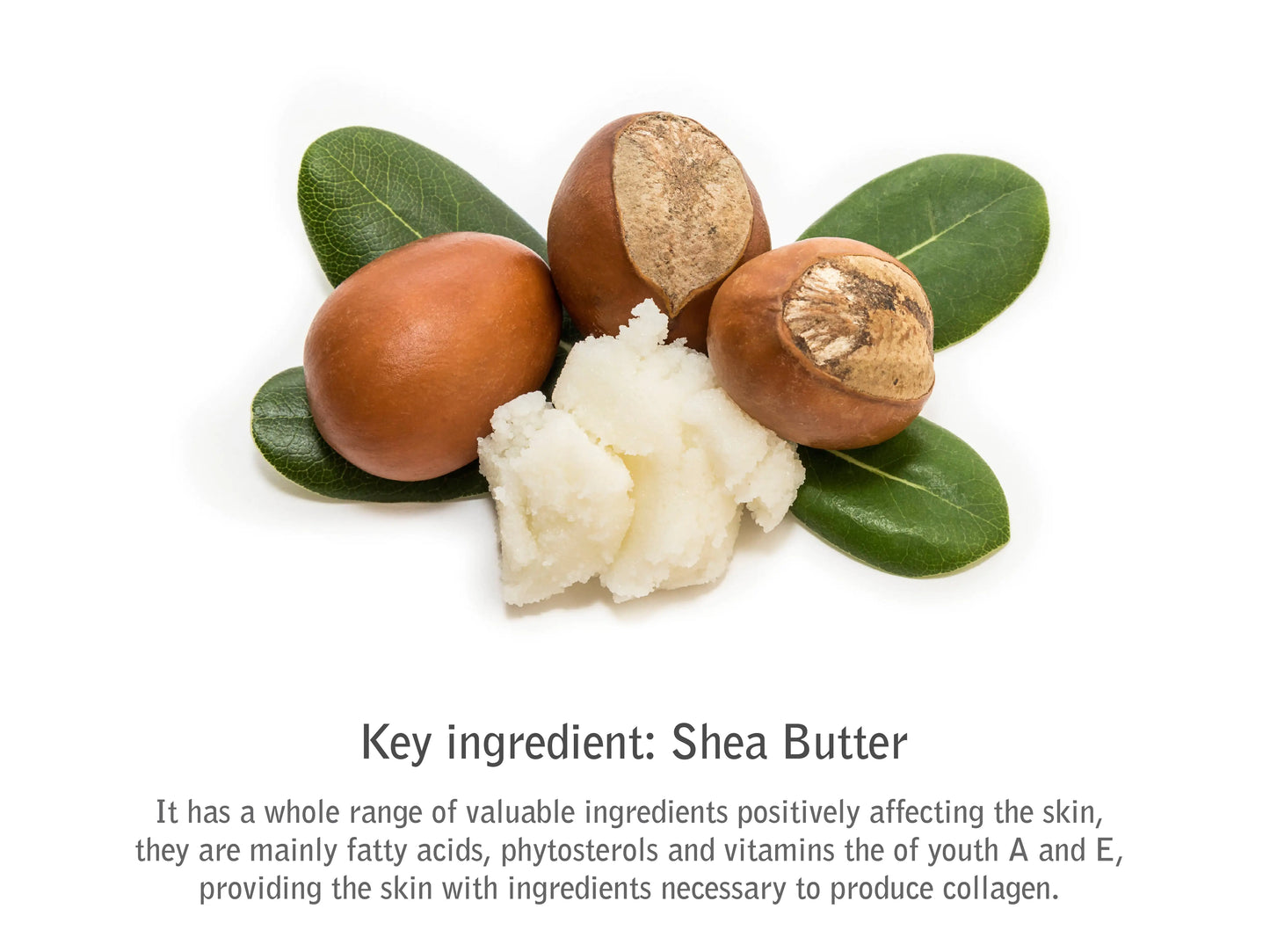 Style Loft Collection Melon & Cucumber Body Butter
