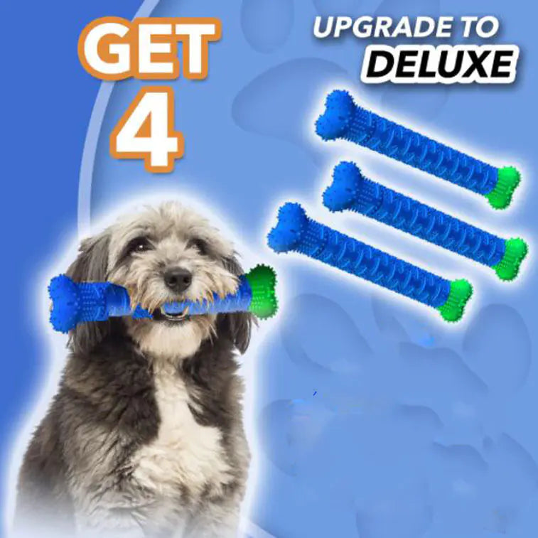 Style Loft Collection Cat and Dog Tooth Cleaning Chewster