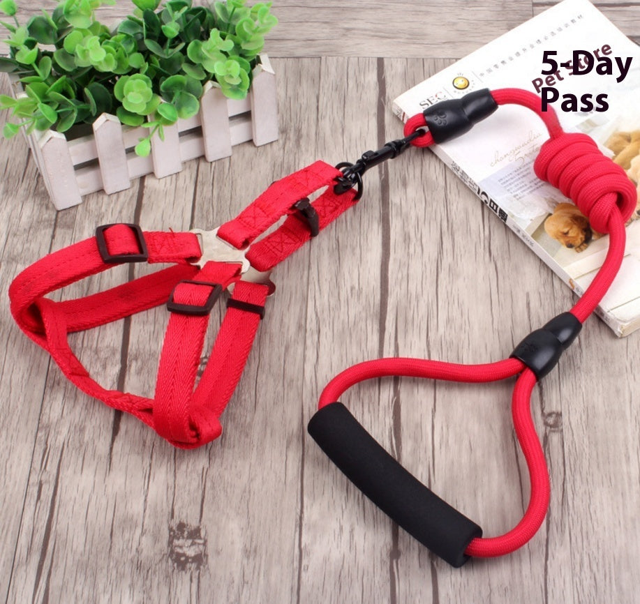 dog chain, dog collar, pet harness rope