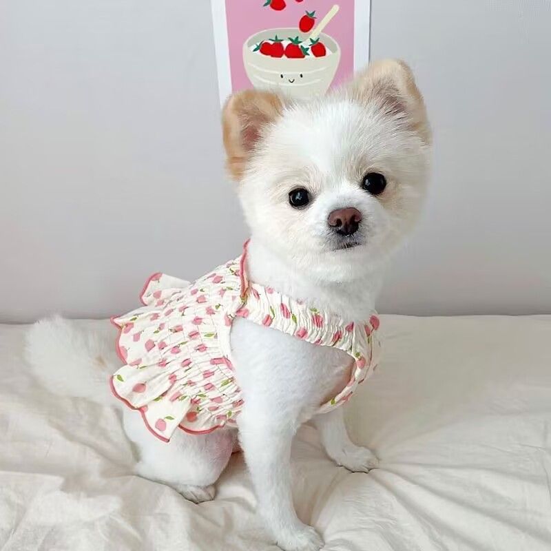 Dog Pet Clothes Summer Halter Skirt