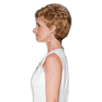 Eva Gabor Aspire Wig - Choose Size New With Tags