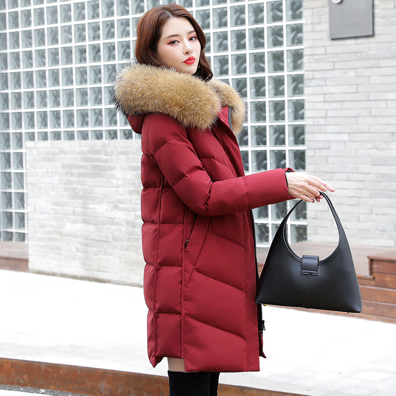 2020 Women's Korean Hooded White Duck Down Jacket