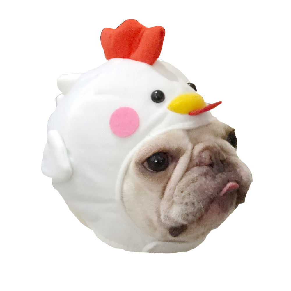 Pet Styling Video Creative Pet Supplies Cute Dog Hat