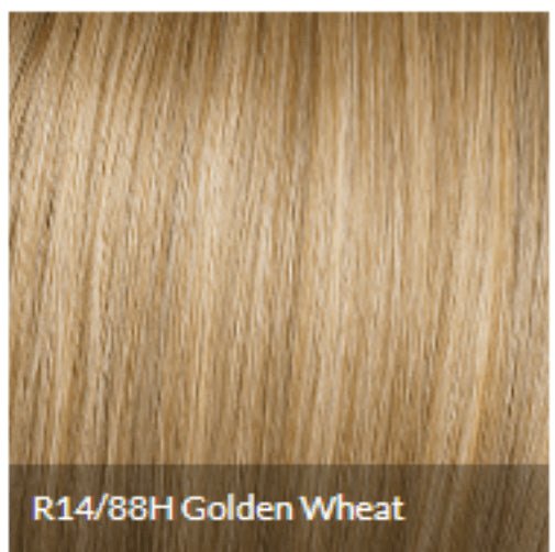 CLIP-IN BANGS by Hairdo Color