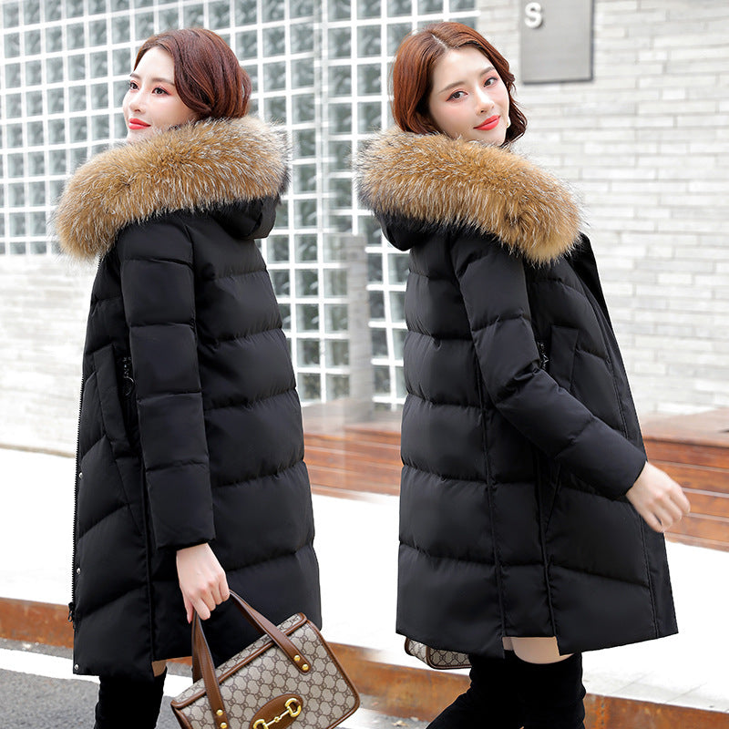2020 Women's Korean Hooded White Duck Down Jacket