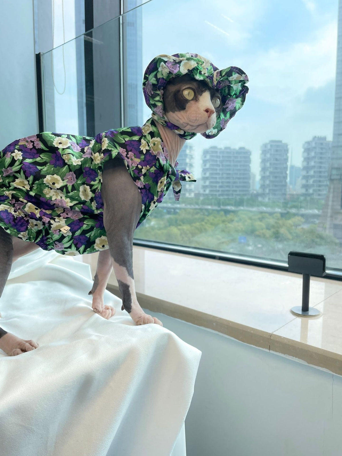 Cat Clothes Summer Thin Floral Dress Sphinx Hairless