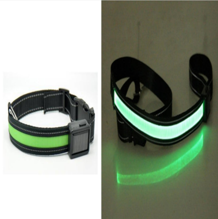 Fluorescent dog collar