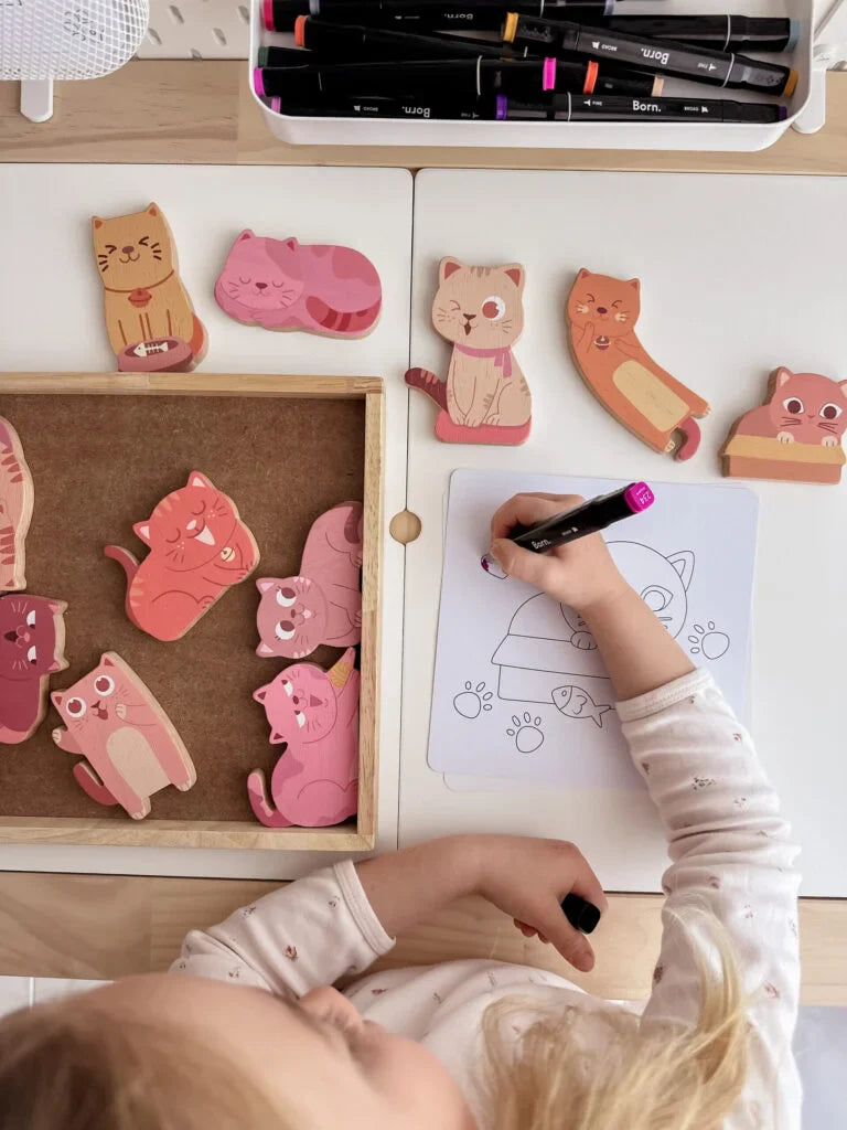 QToys Australia (USA) Cat Play Set & Colouring | Kitchen + Metal