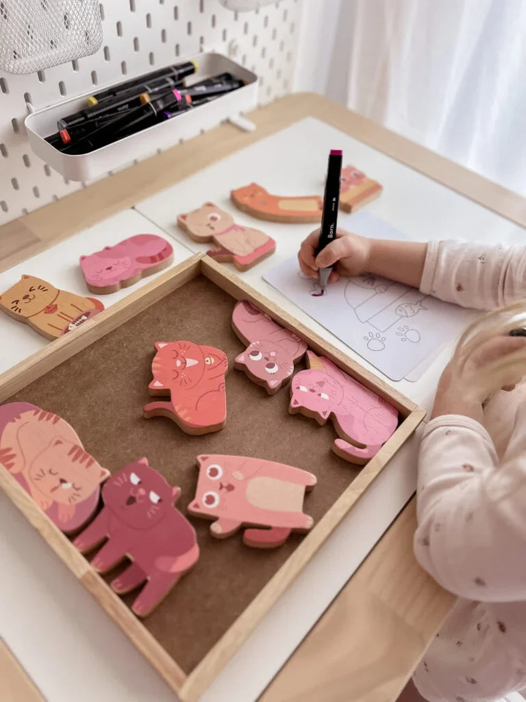 QToys Australia (USA) Cat Play Set & Colouring | Kitchen + Metal