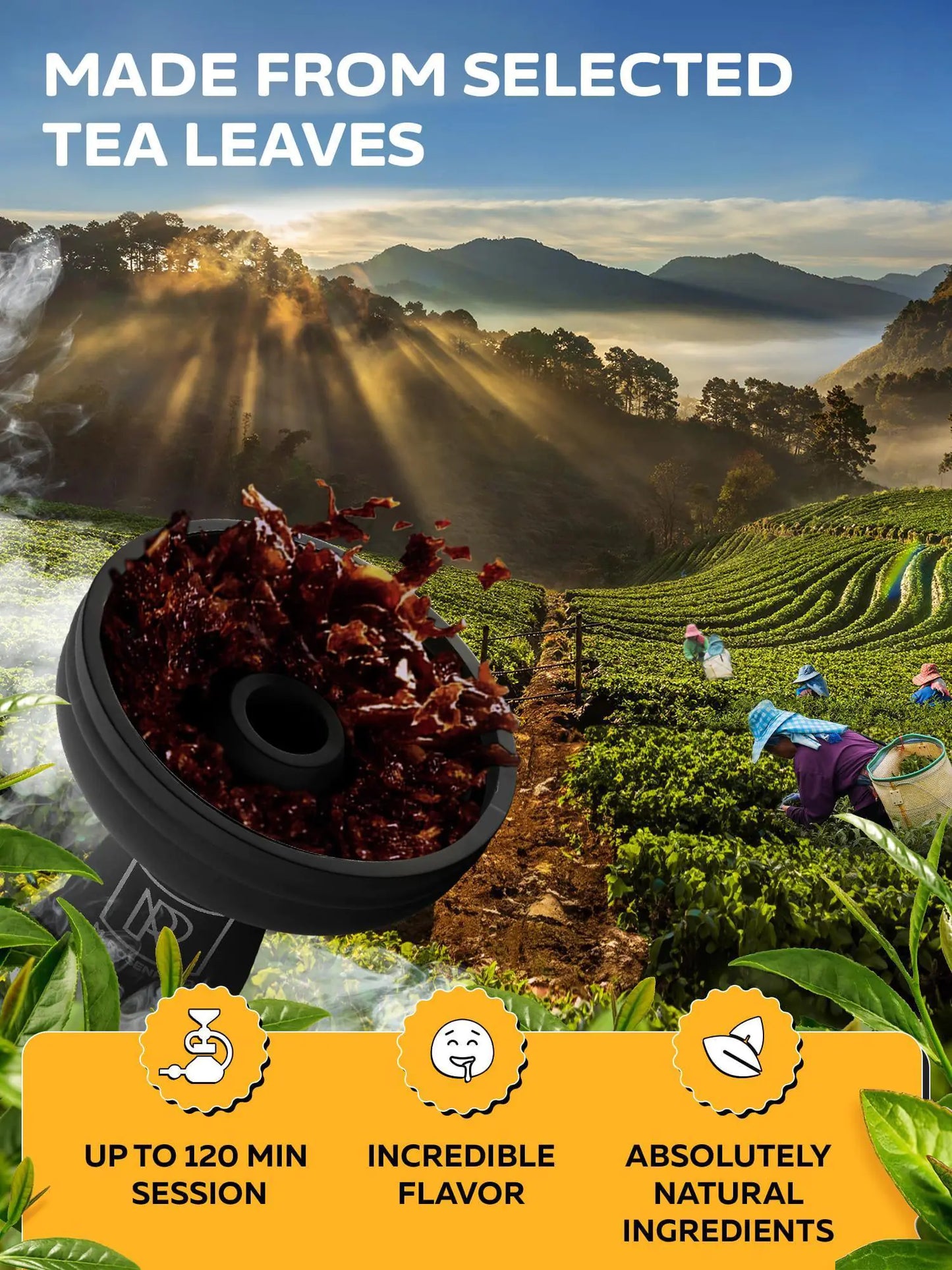 Shisha Hookah fruitage set Shisha Flavors 100 Gram Set fruitage Flavor Hookah