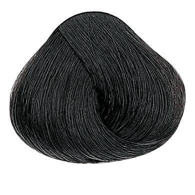 EVOLUTION OF THE COLOR by Alfaparf NATURALS 2.05oz