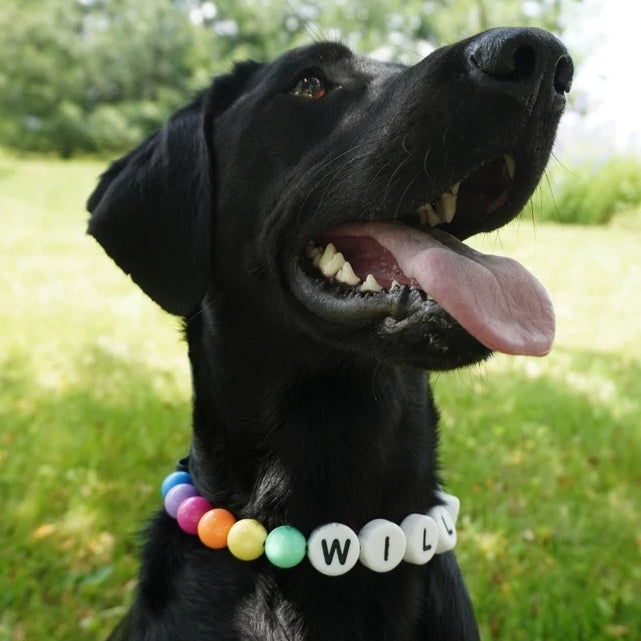 Pet Beaded Name Collar With Bracelet Set Custom Dog Collar With Beads DIY Name Dog Letter Necklace Dog Pearl Beaded Collar