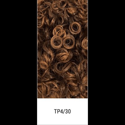 Femi Collection Afro Wig