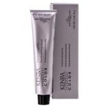 Guy Perm 9VM Light Blonde Violet Metallic - Kenra Color