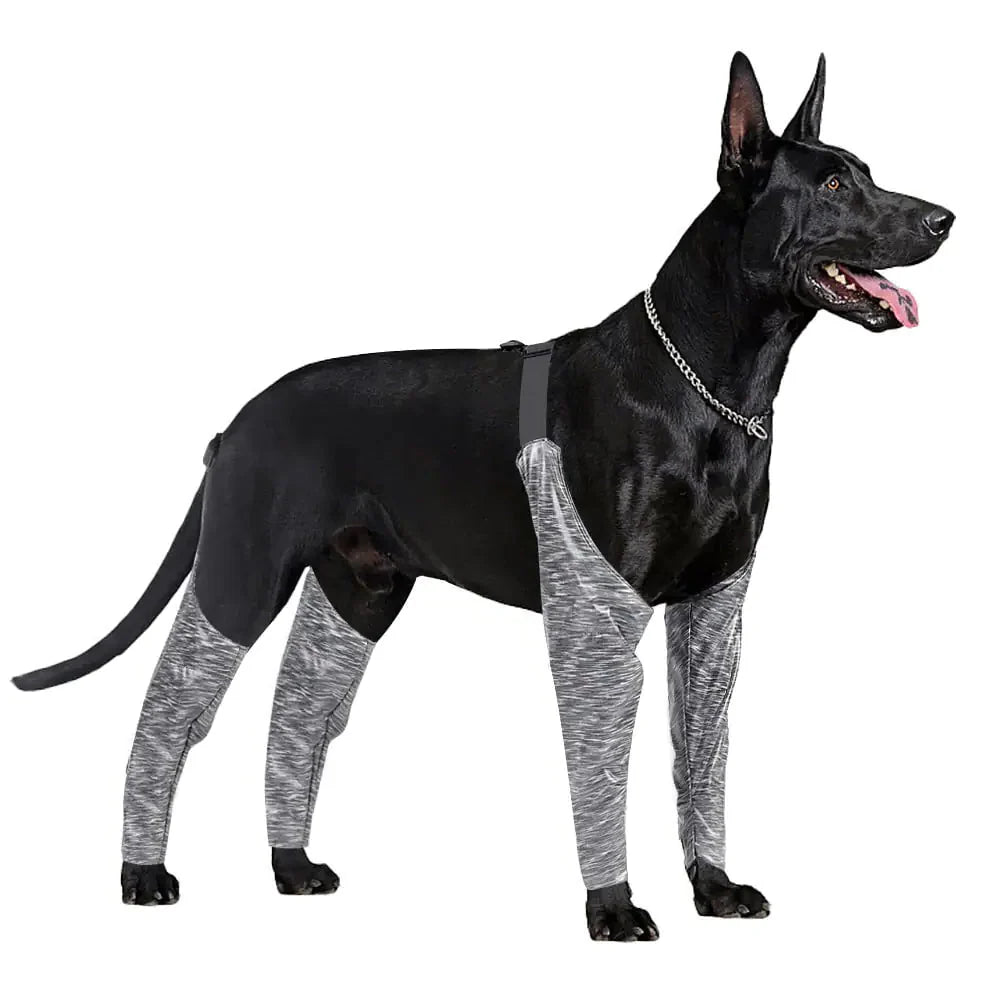 Style Loft Collection PetStyle Pet Pants