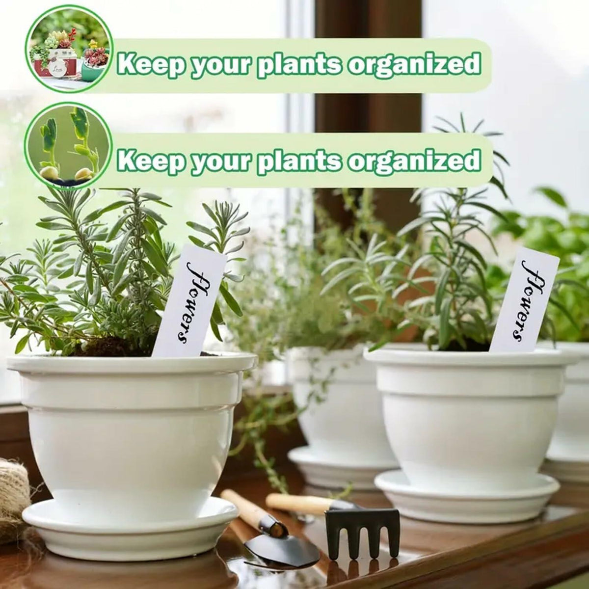 meumtuu 200 PCS White Plastic Plant Labels Garden Markers PVC PVCPL-200W