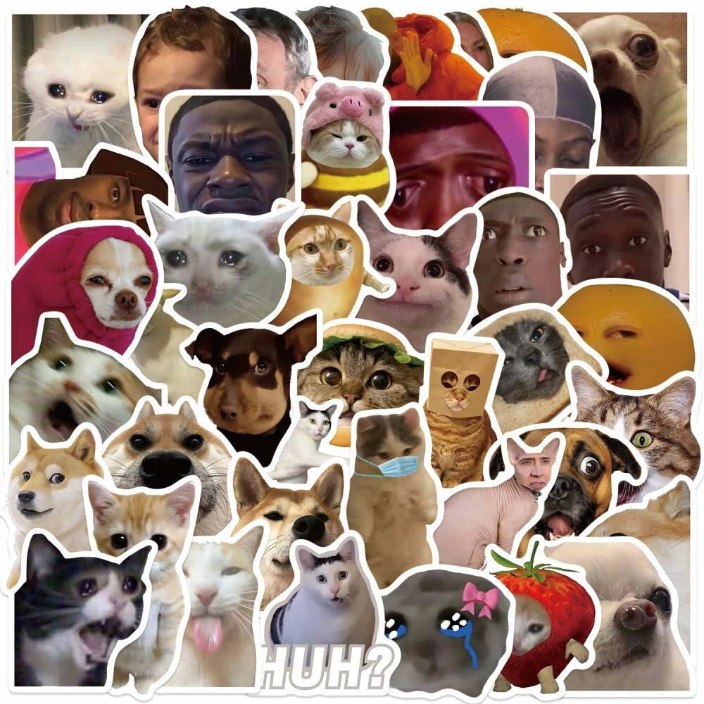 50PCS Funny Meme Vinyl Waterproof Stickers for Water Bottles Laptop Computer