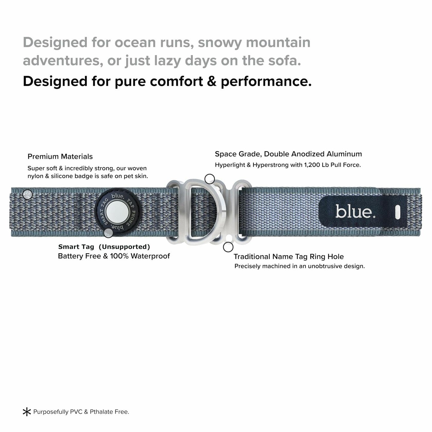 Premium Dog Collar by Blue Small Feathered Rose