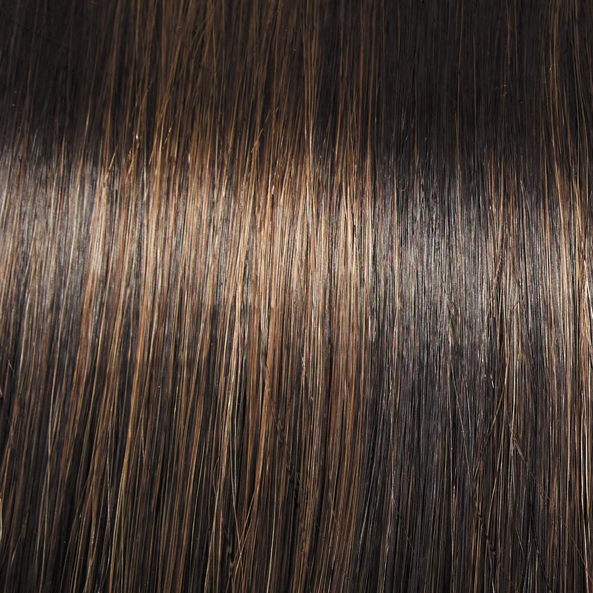 Raquel Welch Flying Solo Shoulder-Length Wig, RL4/10SS Shaded Iced Java