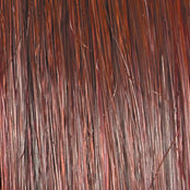 Raquel Welch Stay The Night Wig, RL33/35 Deepest Ruby