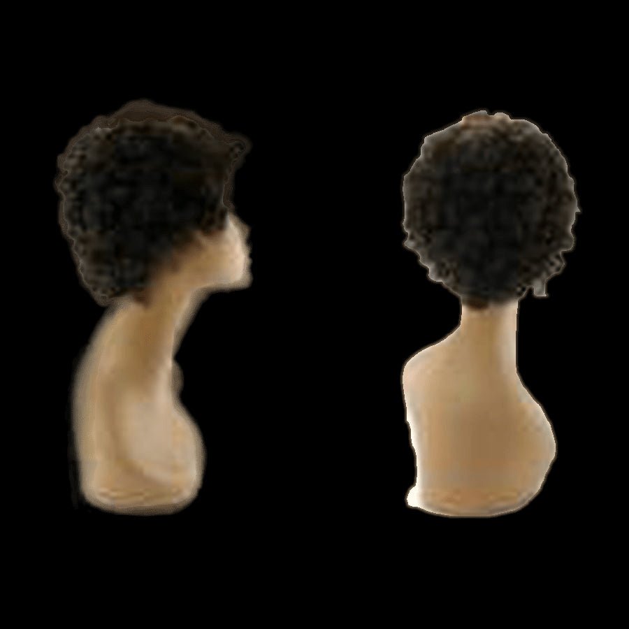 Pallet # 135 - Lot of Wigs -  100% Human Hair- Variety of Styles