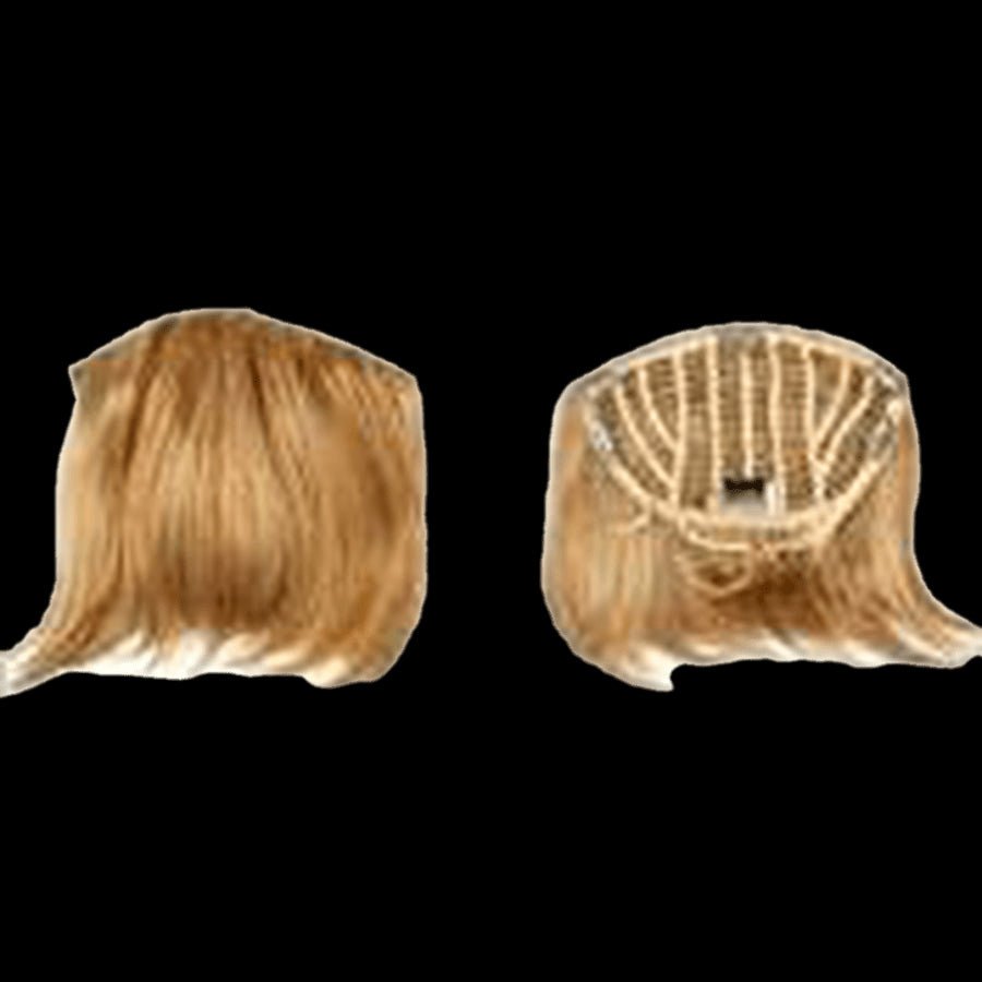 Pallet # 159 -  Lot of  Hair - variety of styles and colors