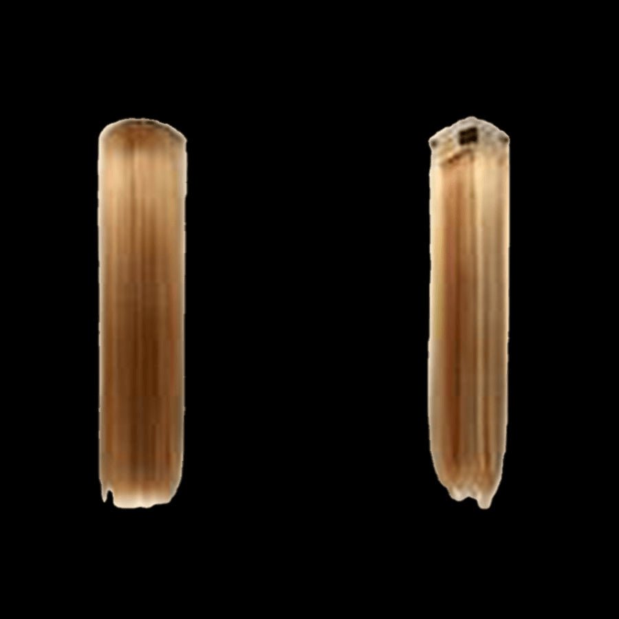 Pallet # 161 -  Lot of  Hair - variety of styles and colors